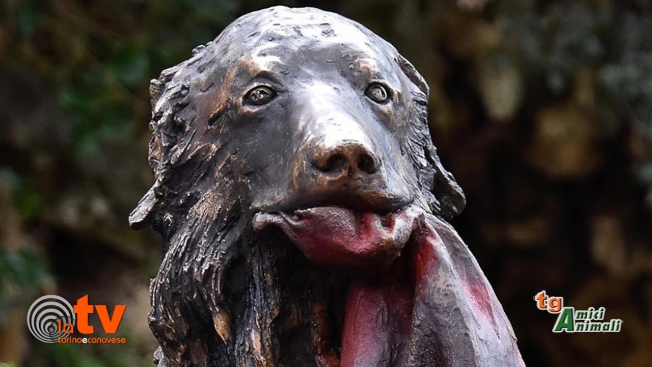 La storia di Snoopy, un angelo a quattro zampe