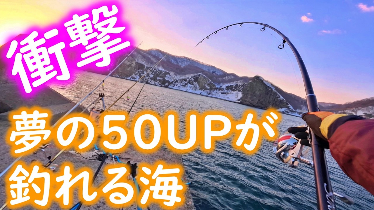 【釣り】衝撃・北海道・夢の５０ＵＰが釣れる海・モンスターサイズ：2026年2末