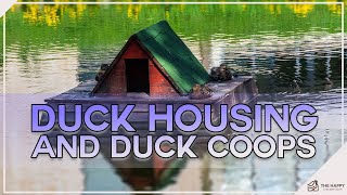 Duck Housing And Duck Coops: What You Need To Get