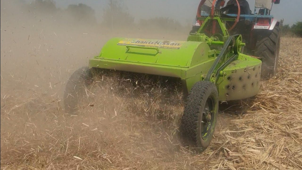 Sugarcane Leaf Trash Shredder Machine Working In Sugarcane Farm.
