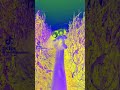 Heyitzpuppies effects