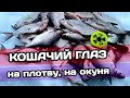 БЕЗМОТЫЛКА КОШАЧИЙ ГЛАЗ | ПЛОТВА и ОКУНЬ ЖРУТ ЭТУ МОРМЫШКУ | РАБОТАЕТ ВСЕГДА и ВЕЗДЕ