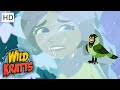 Wild Kratts | TRAPPED In An Ice Storm! | Weather