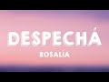 DESPECHГЃ ROSALГЌA Lyrics Video вљЎ DESPECHГЃ ROSALГЌA Lyrics Video вљЎ