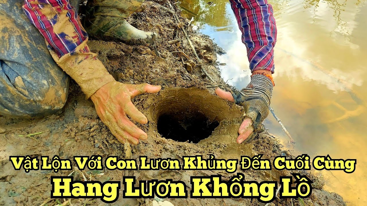 Câu lươn sông_Vật lộn với con lươn khủng đến cuối cùng_Trúng mánh to_tập587//Giant eel fishing