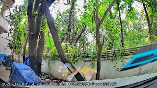 💎 Why Every Car Lover NEEDS This! JSD 4G Dashcam – 2K, GPS & Cloud screenshot 3