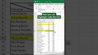 How to Use Format Painter in #excel