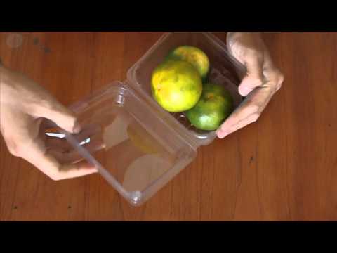 Video Hộp nhựa định hình đựng trái cây siêu chắc chắn - youtube