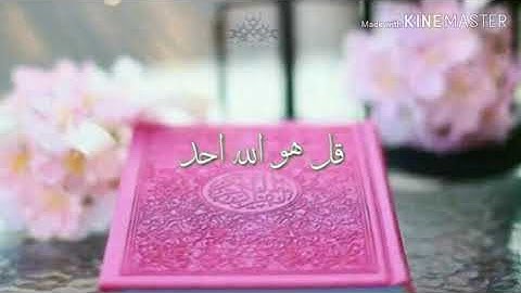 حالات واتس اب دينيه // سورة الاخلاص // الوصف 👇👇🤗