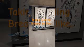 Coding Breaks be like.... #coderlife #medicalcoding #productivity