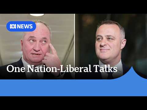 Liberals deny talks with One Nation over deal for minority government | ABC NEWS