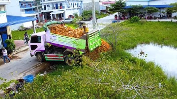Start New Project Landfill in Flooded Bulldozer Komatsu D20p Pushing stone & 5ton Truck Unload