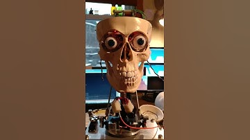 Robot running in a new body!