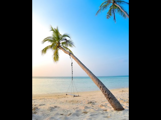 Come to the Beach Relaxation