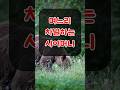 사건 34. 며느리 차별하는 시어머니