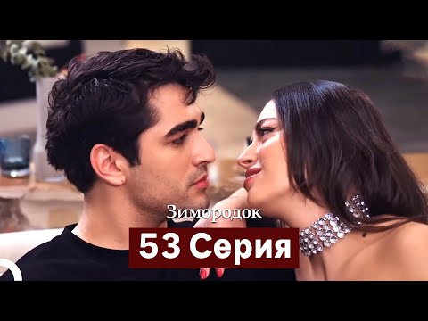 Зимородок 53 Cерия