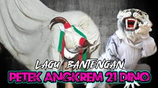 GENDING BANTENGAN YANG DI CARI, PETEK ANGKREM 21 DINO.