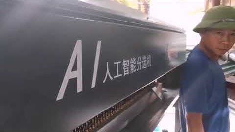 Vietnamese white potassium white silica sorting site#mineral #sortingmachine #color sorter