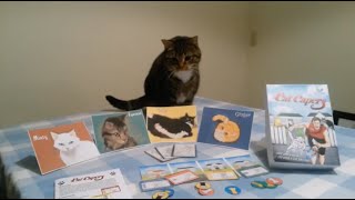 Cat Capers PledgeMe Video