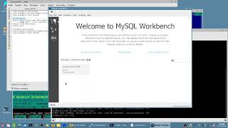 Как установить MySQL и  MySQL Workbench в Astra Linux