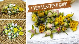Volumetric drying of flowers at home / Dried rose buds in salt | Eva-konfetti