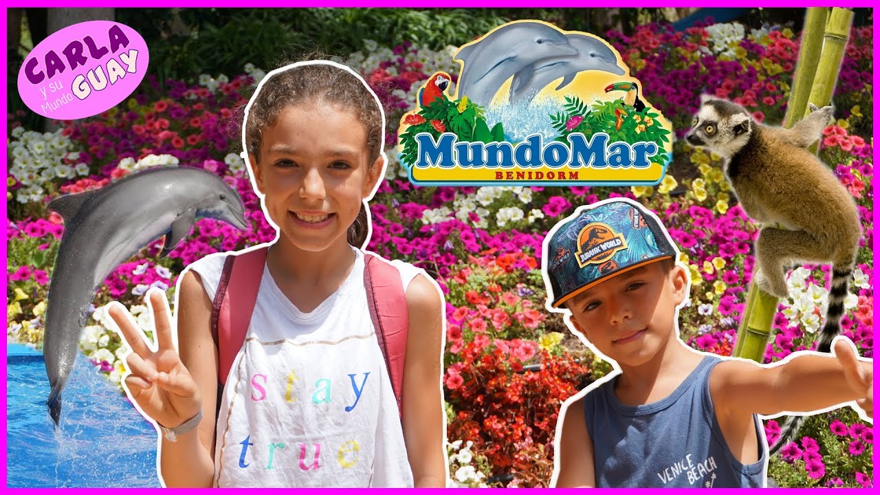 MUNDOMAR BENIDORM  🐬 Espectaculo de Delfines y Leones marinos 🦭 Carla y su Mundo Guay