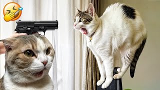 Funny Moments of Cats and dog | Funny Video Compilation  Fails Of The Week #5