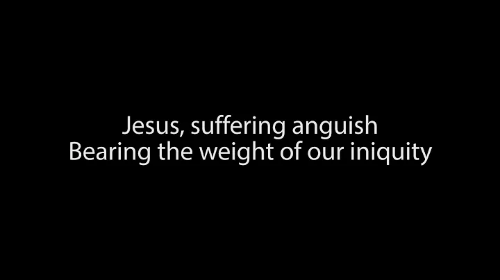 You Are the Christ - lyrics video