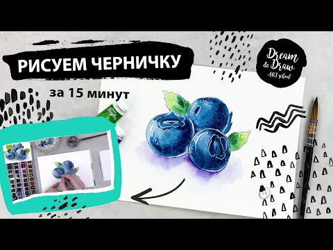 Черника. Уроки рисования для новичков. Акварельный скетчинг