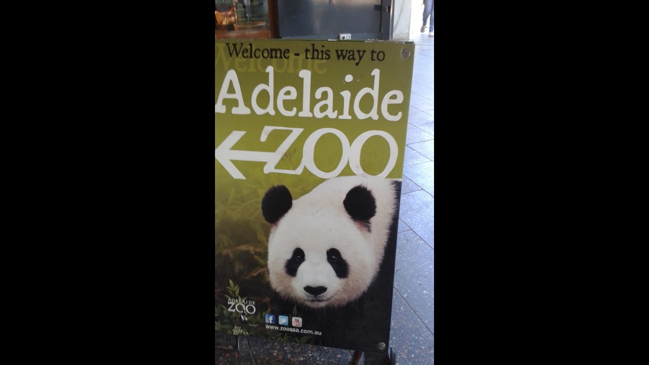 Adelaide Zoo | The_Precious
