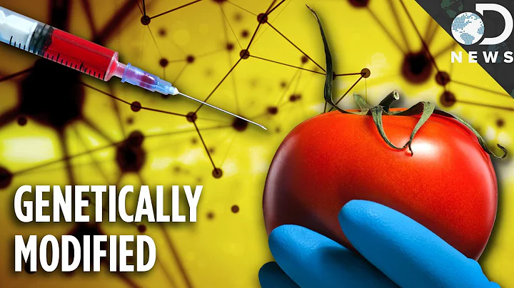 Are Any Foods Natural Anymore? GMOs Explained