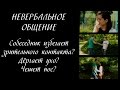 НЕВЕРБАЛЬНОЕ ОБЩЕНИЕ: Что если собеседник дергает ухо и не смотрит в глаза?