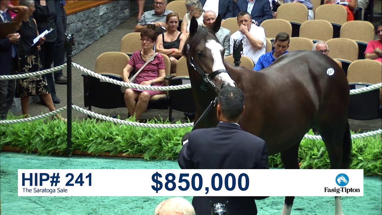 Before They Were Stars: HONOR A.P. at The Saratoga Sale (2018)