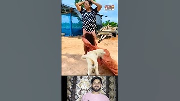 funny 😂😂183 #shorts #funny #shortsfeed