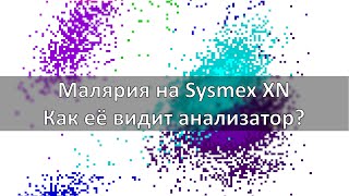 МАЛЯРИЯ НА SYSMEX - САМЫЙ ПОЛНЫЙ РАЗБОР