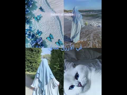 شاركت بمسابقة  5 أتمنى أكون المركز 1 موناتج بدون موسيقى اكسبلور اشتراك بالقناة