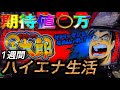 【検証】 1週間ハイエナ生活 サラリーマン金太郎編