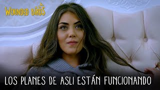 Los planes de Asli están funcionando | Wounded Birds (Yaralı Kuşlar) Capítulo 130