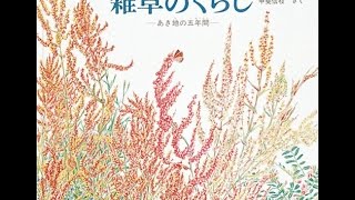 【紹介】雑草のくらし あき地の五年間 福音館の科学の本 （甲斐 信枝）