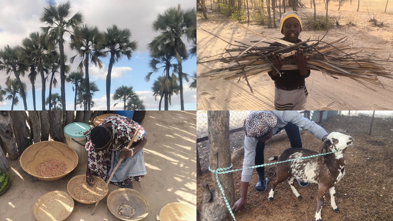 a-few-days-with-me-village-life-enculturation-villagevlog