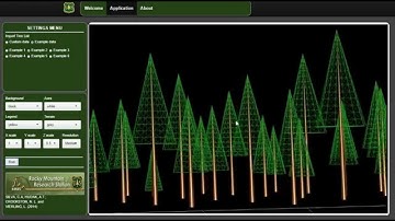 Web-LiDAR Forest Inventory: LiDARstandModel3D application