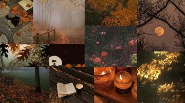 Cozy Fall Music Playlist ࿐🍂 ࿔*:･ﾟ