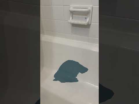 वीडियो: तरल ऐक्रेलिक के साथ बाथटब को पुनर्स्थापित करना: समीक्षा और प्रभावशीलता। दो-अपने आप स्नान बहाली