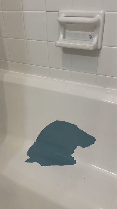 Spray-On Tub & Tile Refinishing Kit