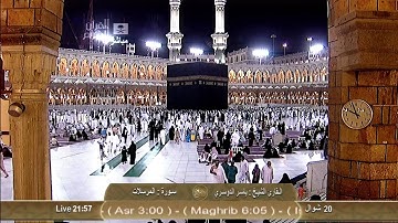 تلاوة خاشعة ،، للشيخ ياسر الدوسري سورة المرسلات HD