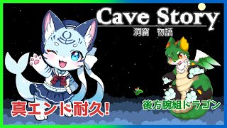 【洞窟物語】【挑戦】さて…地獄を走り抜けようか…【ケモノ系Vtuber】