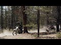 FOX LEGION | MOTOSPORT SWEEPSTAKES