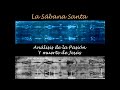 La Sábana Santa - Análisis de la Pasión y muerte de Jesús - D. Santiago Vela - (Parte 3)