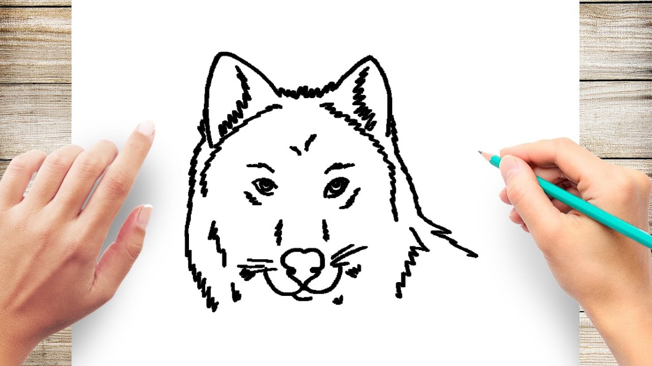 How To Draw A Wolf Face Step By Step For Kids Youtube