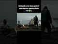 Gorilbogo ile kamp videosu gelsinmi? @GORİLBOGO #hayattakalma #doğa #shorts #kamp